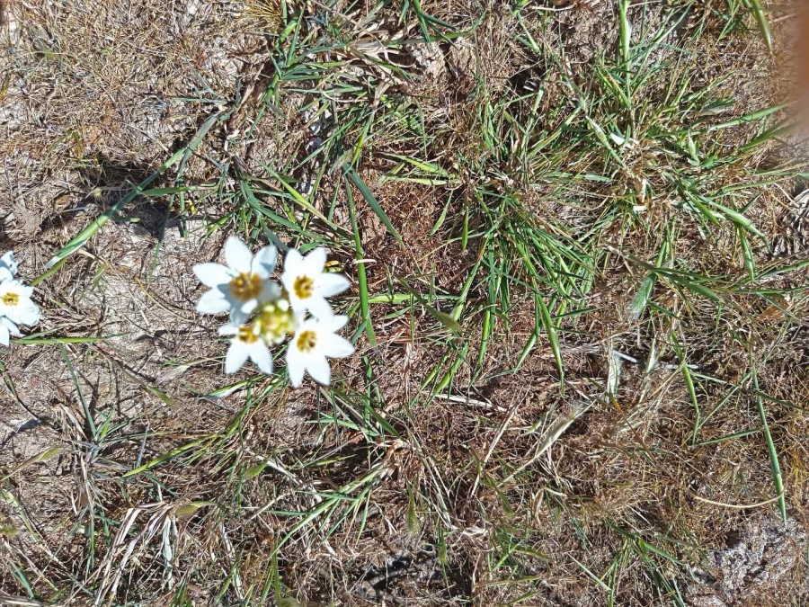 0 Bedroom Property for Sale in Fisherhaven Western Cape